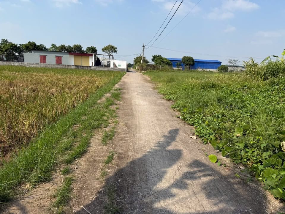 Đất nền lô góc Xã Minh Quang 100m² giá 600 triệu - Cơ hội đầu tư hấp dẫn!