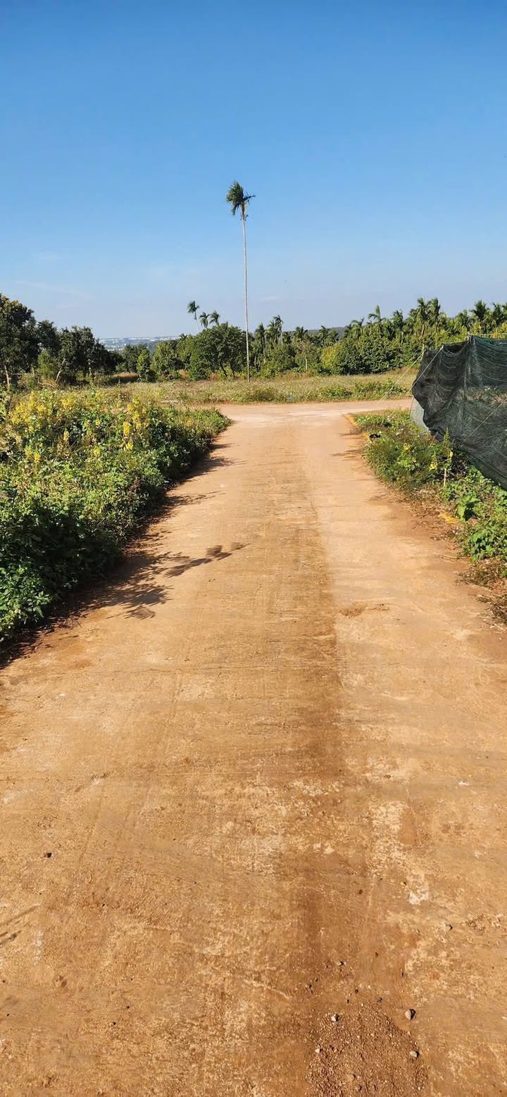 Lô đất Phường Tân Lập 460m² giá 1.65 tỷ - Đầu tư sinh lời dài hạn!