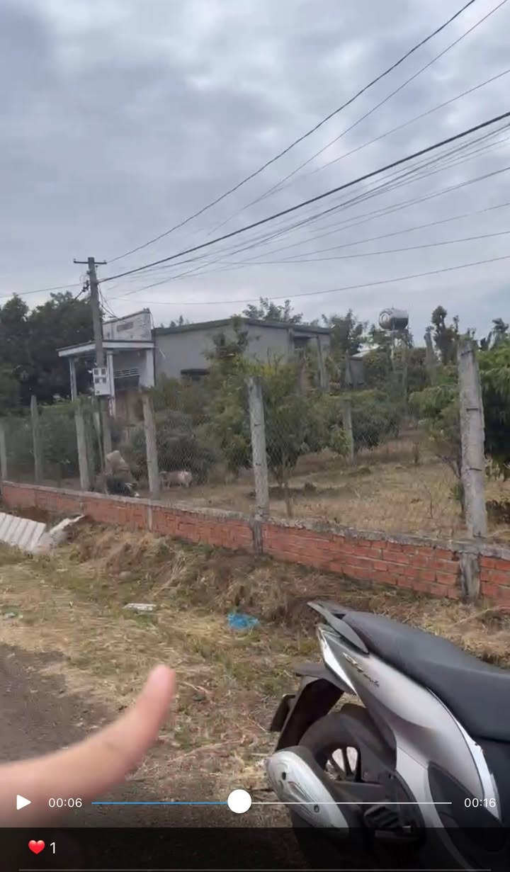 Đất liền kề thôn 8 Phạm Ngũ Lão 260m² giá 1.2 tỷ - Đầu tư sinh lời ngay!