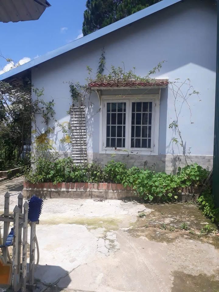 Nhà nguyên căn hẻm Trần Hưng Đạo Đà Lạt 2PN giá 6 triệu - Không gian sống lý tưởng!