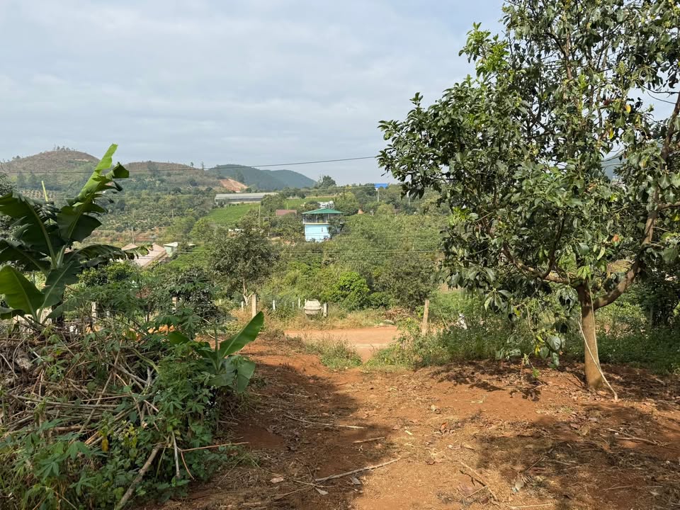 Đất nền 2000m² tại Nam Ban, Lâm Hà - Mặt tiền đẹp, giá chỉ 3.1 tỷ!