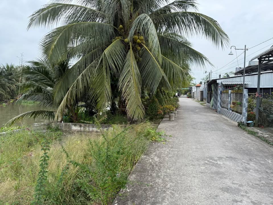 Đất nền mặt tiền đường 8, xã Đông Hiệp, Cần Thơ 653m² giá 8xx triệu - Cơ hội đầu tư hấp dẫn!