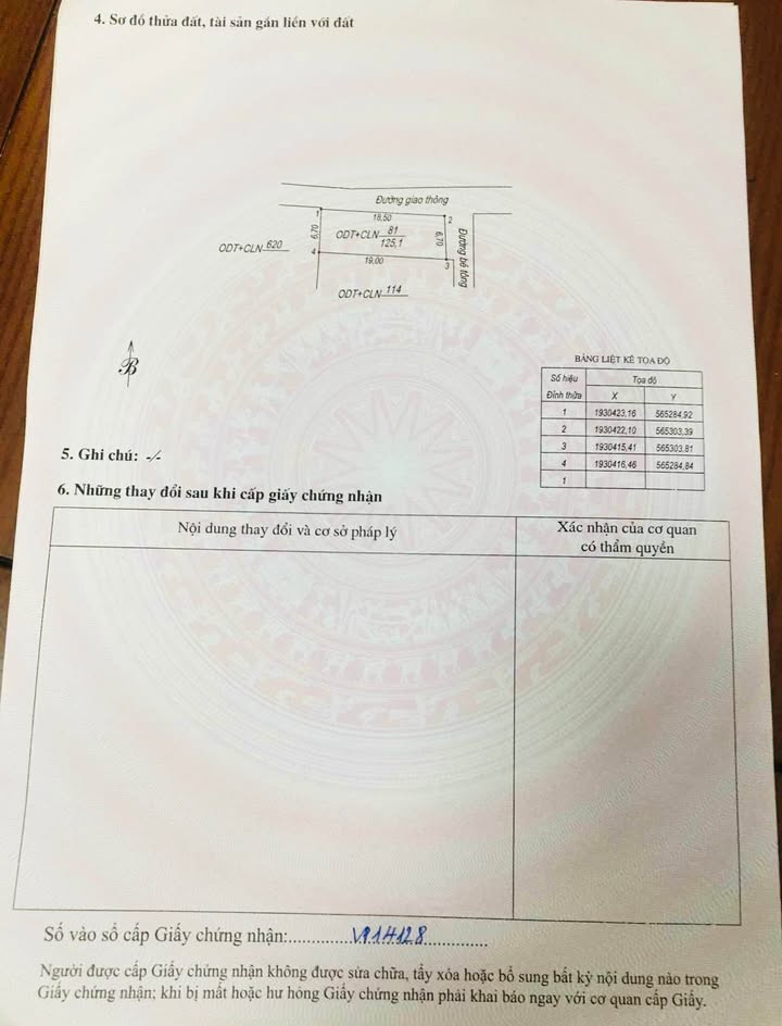 Đất nền trung tâm Đức Ninh Đông 12395m² giá 1,x tỷ - Đầu tư sinh lời ngay!