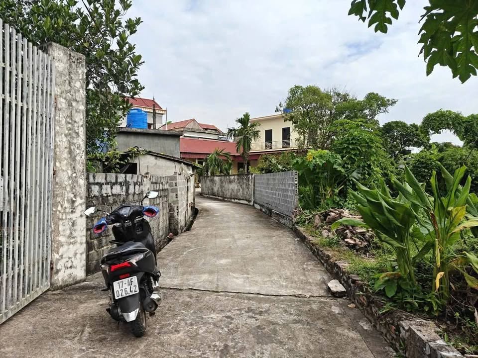 Đất nền xã Minh Khai, huyện Vũ Thư, 144m² - Giá thỏa thuận hấp dẫn!