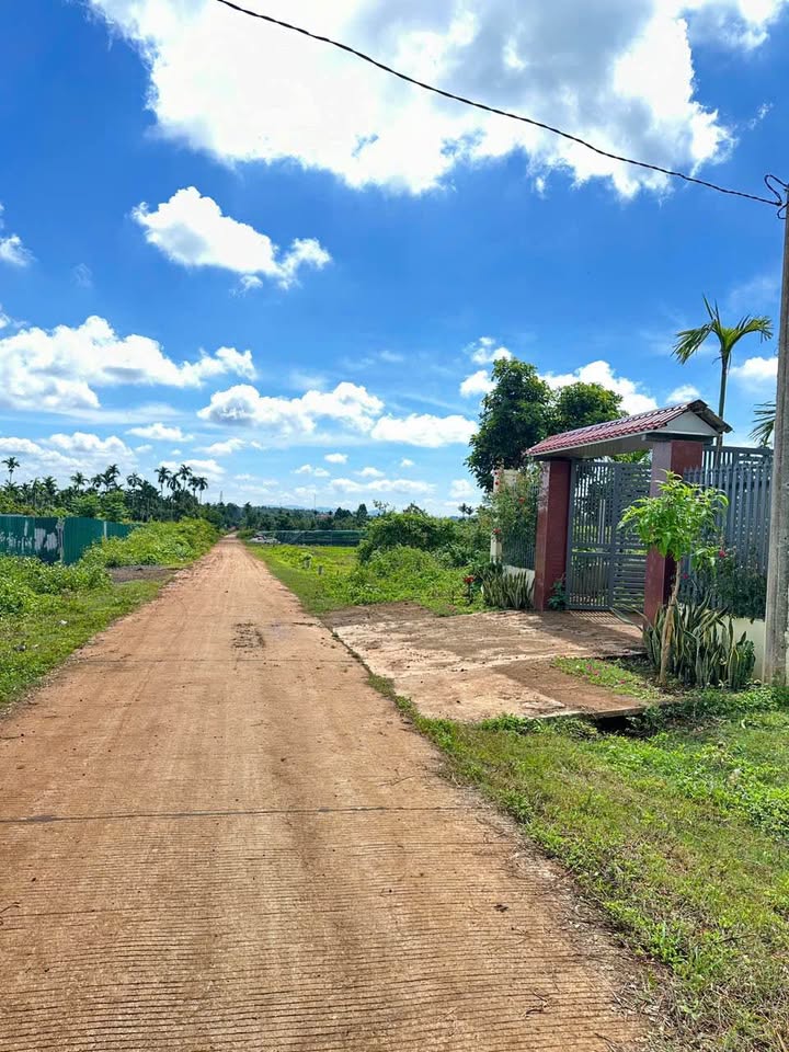 Đất nền Komleo, Tân Lập 115m² giá chỉ 990 triệu - Cơ hội đầu tư tuyệt vời!