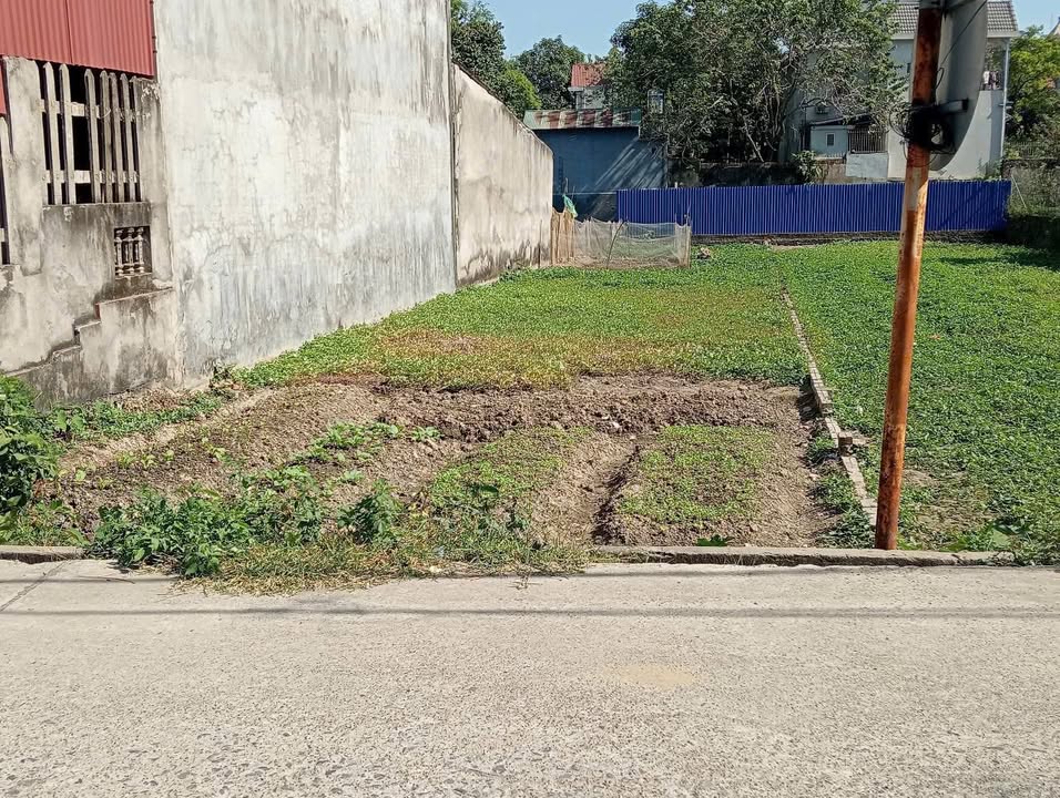 Đất thổ cư 200m² tại Phường Trung Thành, TP. Phổ Yên - Giá 2.5 tỷ, mặt tiền 6m!