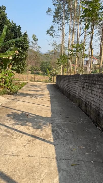 Đất nền Lạng Giang 150m² giá 230 triệu - Sổ hồng chính chủ