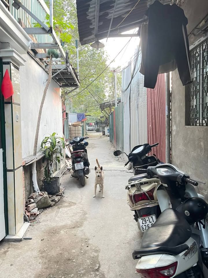 Nhà mặt ngõ Lương Thế Vinh 31m² giá 890 triệu - Kinh doanh nhỏ, gần bệnh viện