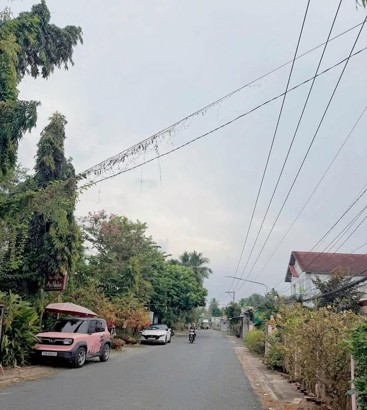 Đất Nền Thị Trấn Châu Thành 156m² giá 1.56 tỷ - Mặt tiền đường kinh doanh sầm uất!