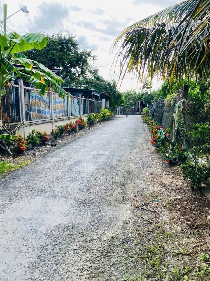 Đất vườn mặt tiền lộ nhựa Tiên Thủy 3000m² chỉ 1.3 tỷ - Cơ hội đầu tư tuyệt vời!