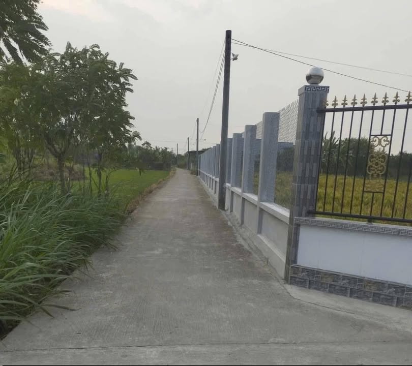 Đất nền 205m² tại kp Ông Non, Gò Công Đông, Tiền Giang - Bán gấp chỉ 400 triệu!