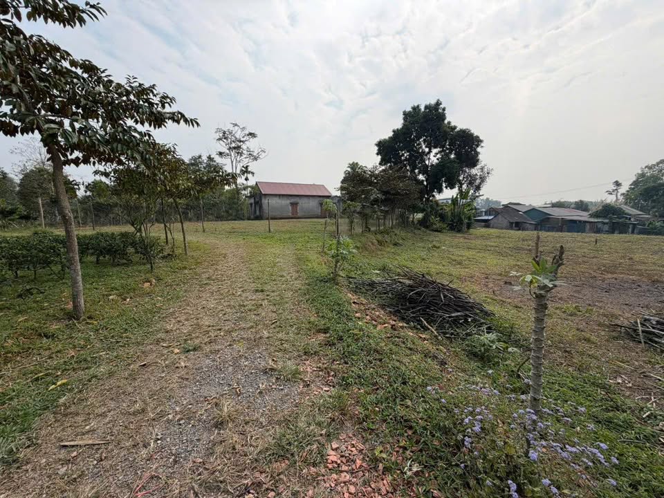 Đất thổ cư 400m² tại Xã Vô Tranh, Huyện Phú Lương - Giá chỉ 7 tỷ!