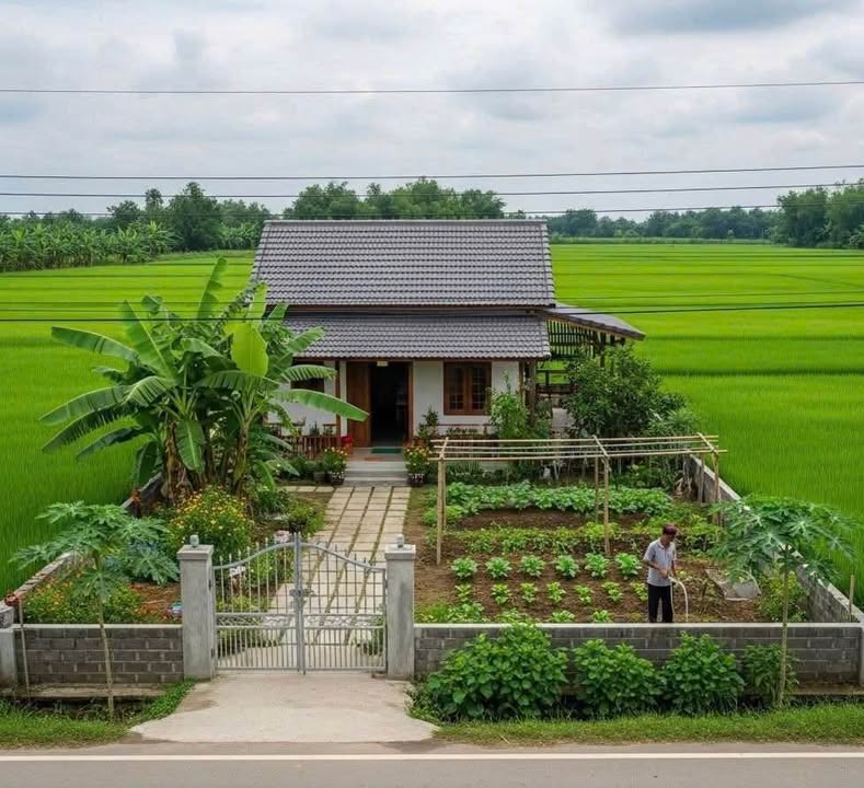 Đất nền liền kề mặt tiền Kênh Đòn Dong, Thạnh Lộc, 210m² giá 570 triệu - Đầu tư sinh lời hấp dẫn!