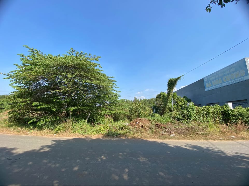 Lô đất mặt tiền đường 90, Hoà Long, Bà Rịa 500m² - Cơ hội đầu tư hiếm có!