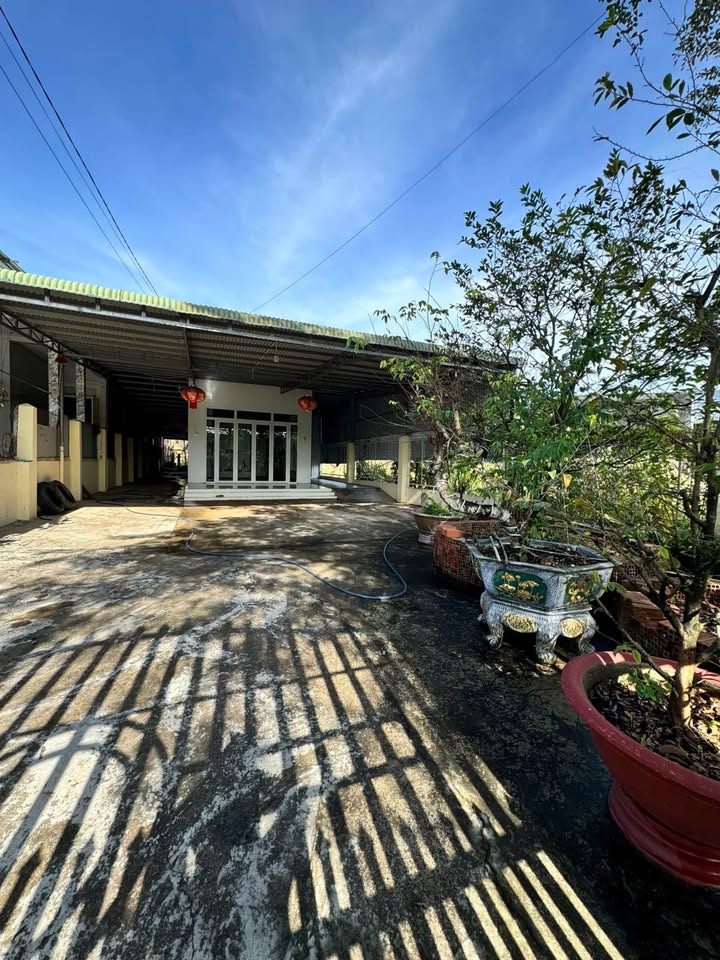 Nhà riêng 615m² tại Ấp 3, La Ngà, Định Quán - Bán gấp 2.8 tỷ, tặng cây kiểng ăn Tết!