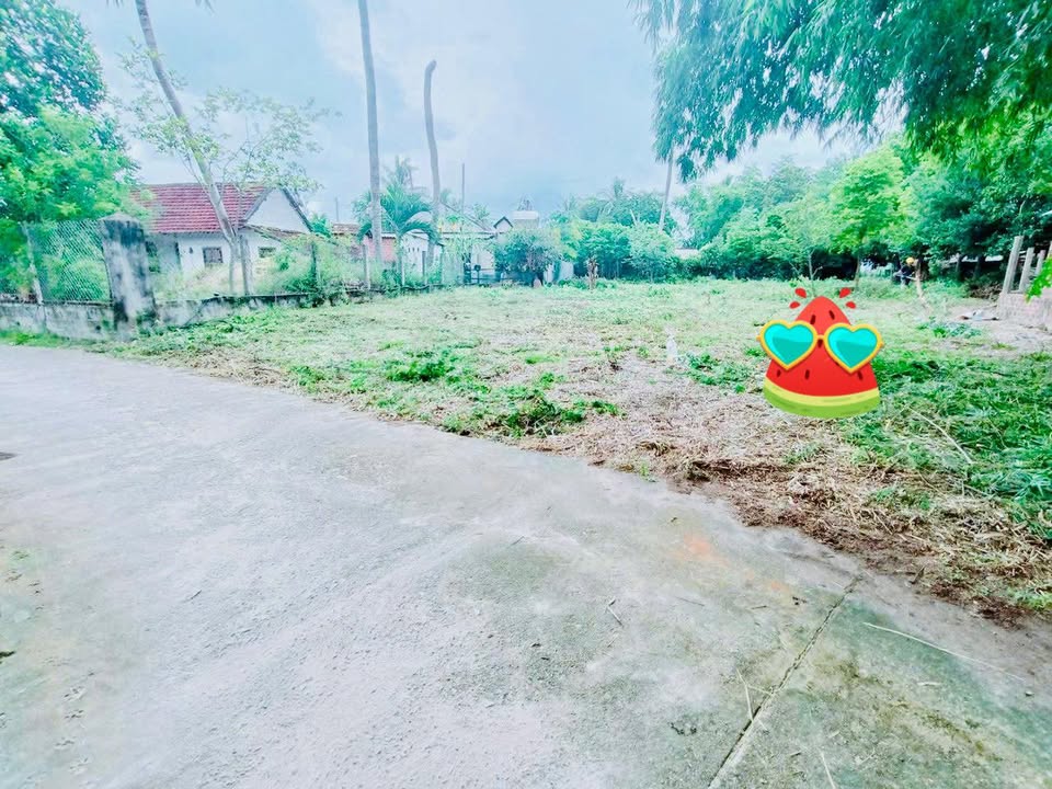 Đất thổ cư 100m² tại thôn Vạn Ninh, xã Mỹ Tài, huyện Phù Mỹ - Giá chỉ từ 200 triệu!