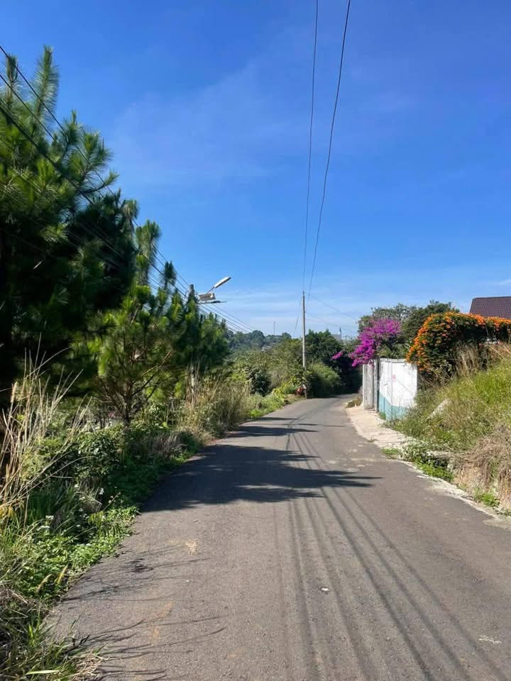 Đất nền Bảo Lộc 150m² giá chỉ 1.3 tỷ - Cơ hội đầu tư tuyệt vời!