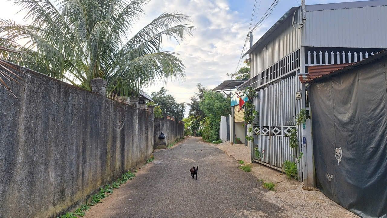 Đất nền Hẻm Yên Thế, Bảo Lộc 171m² giá 2.6 tỷ - Đầu tư sinh lời ngay!