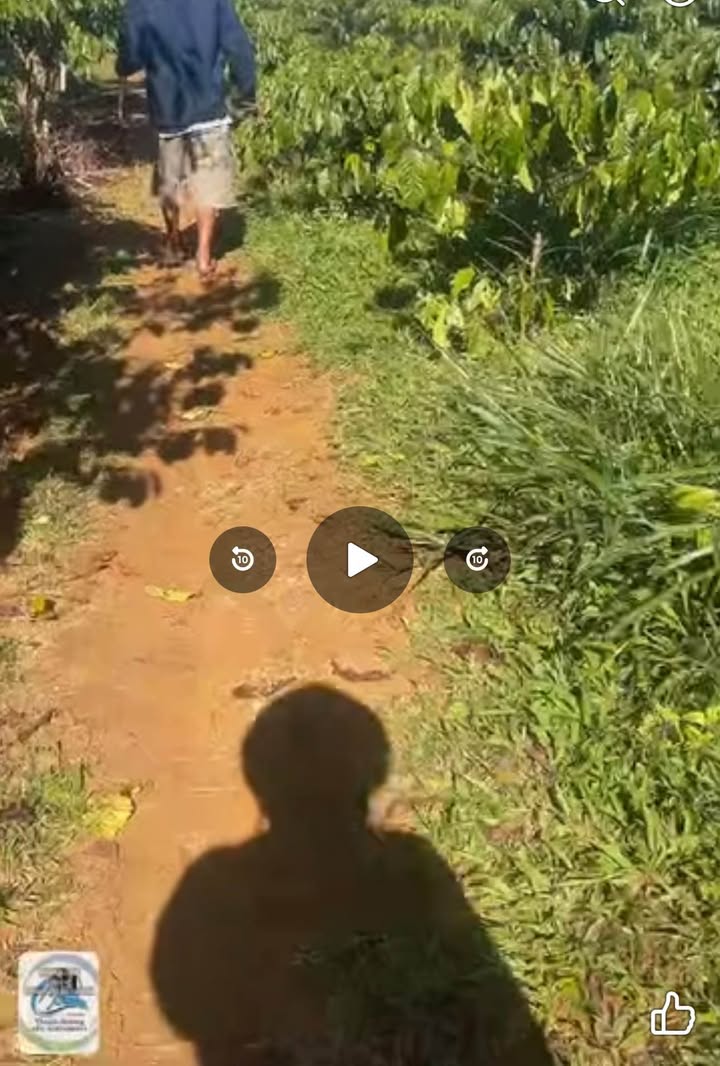 Đất nền Lộc An, Bảo Lâm 796m² - Cơ hội đầu tư tuyệt vời!