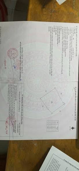 Đất nông nghiệp Xã Phú Hội, Đức Trọng 10.000m² giá 800 triệu - Đầu tư sinh lời cao!