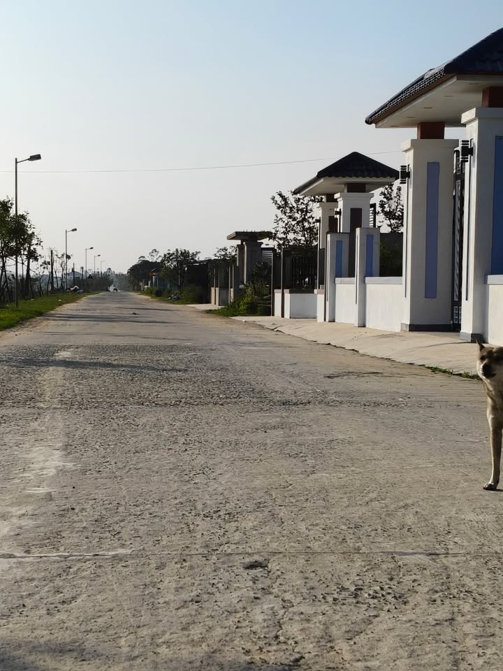 Đất nền Cẩm Thăng 208m² giá 500 triệu - Cơ hội đầu tư không thể bỏ lỡ!