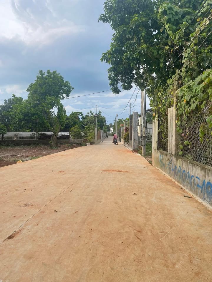 Đất nền mặt tiền đường Bêtông, xã Gia Kiệm, 125m² giá 950 triệu - Sổ riêng thổ cư