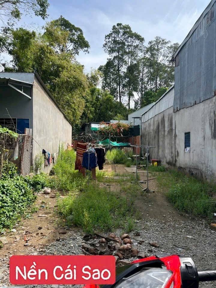 Đất nền phường Mỹ Thới, Long Xuyên, 182m² giá 1 tỷ - Mặt tiền Rạch Cái Sao!