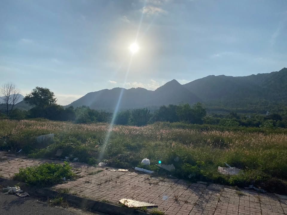 Biệt thự ven sông Vĩnh Thái Nha Trang 4500m² giá 9,5 tỷ - Không thể bỏ lỡ!