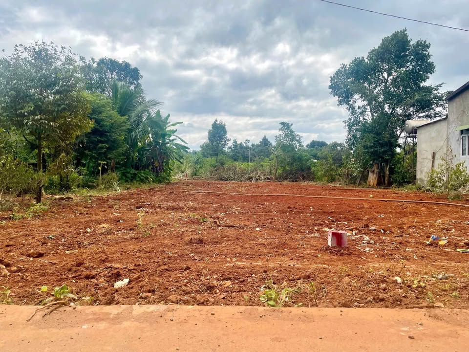 Đất thổ cư Cư Suê 187.5m² giá 1.19 tỷ - Sổ hồng chính chủ, đầu tư sinh lời!