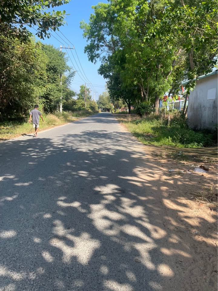 Đất mặt tiền Huỳnh Thị Hiếu, Tân An, 795m² giá chỉ 4.5 tỷ - Cơ hội đầu tư hấp dẫn!