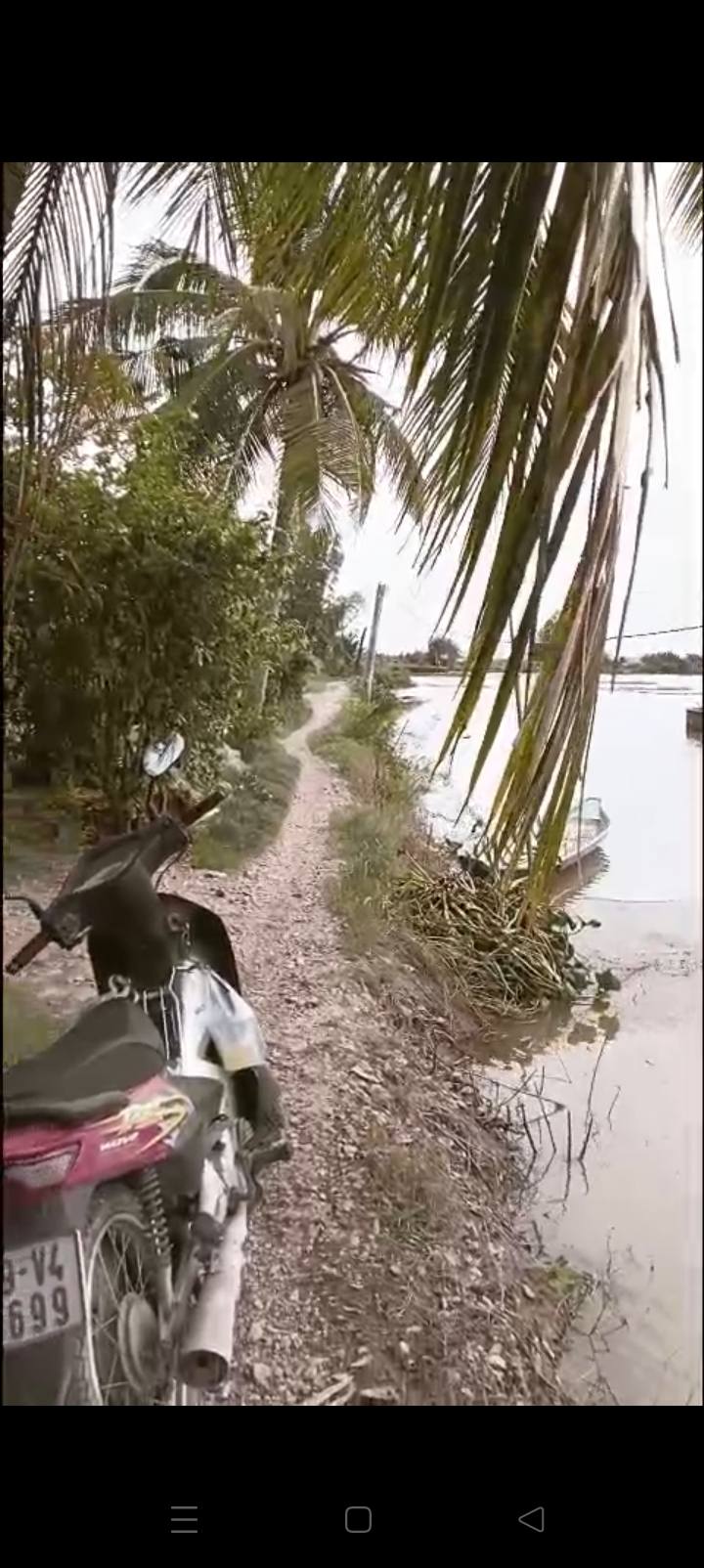 Đất nông nghiệp 2.500 m² tại xã Tân Đông, huyện Thạnh Hóa - Giá chỉ 2 tỷ VND!