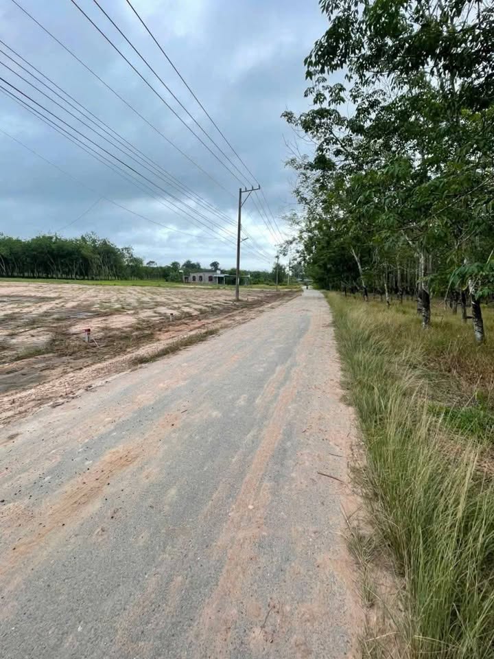 Đất thổ cư An Lập Dầu Tiếng 100m² giá chỉ 400 triệu - Đầu tư sinh lời ngay!