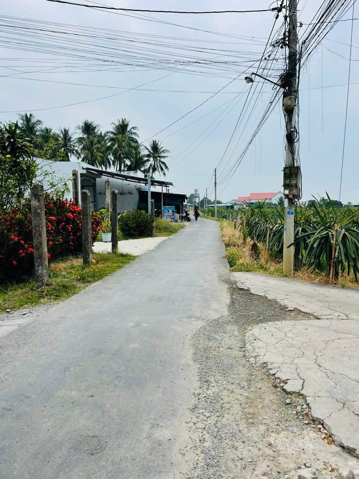 Đất nền thổ 134m² tại ấp Cầu Đúc, Châu Thành - Giá 550 triệu, chính chủ bán gấp!