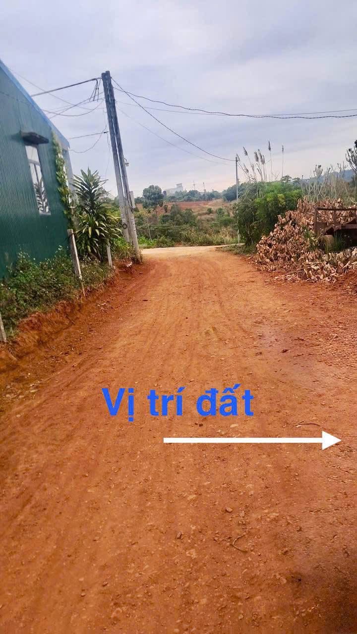 Đất nền Thị Xã Gia Nghĩa 204m² giá 530 triệu - Cơ hội đầu tư hấp dẫn!