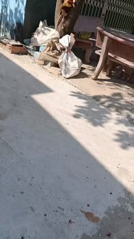 Đất CLN 1662m² tại Ninh Phước, Khánh Hòa giá 3.2 tỷ - Phù hợp làm biệt thự vườn!