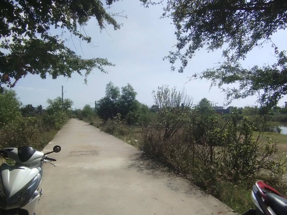 Đất thổ cư 100m² tại Khu cá đồng Hàm Thắng - Giá dưới 650 triệu, cơ hội đầu tư tuyệt vời!