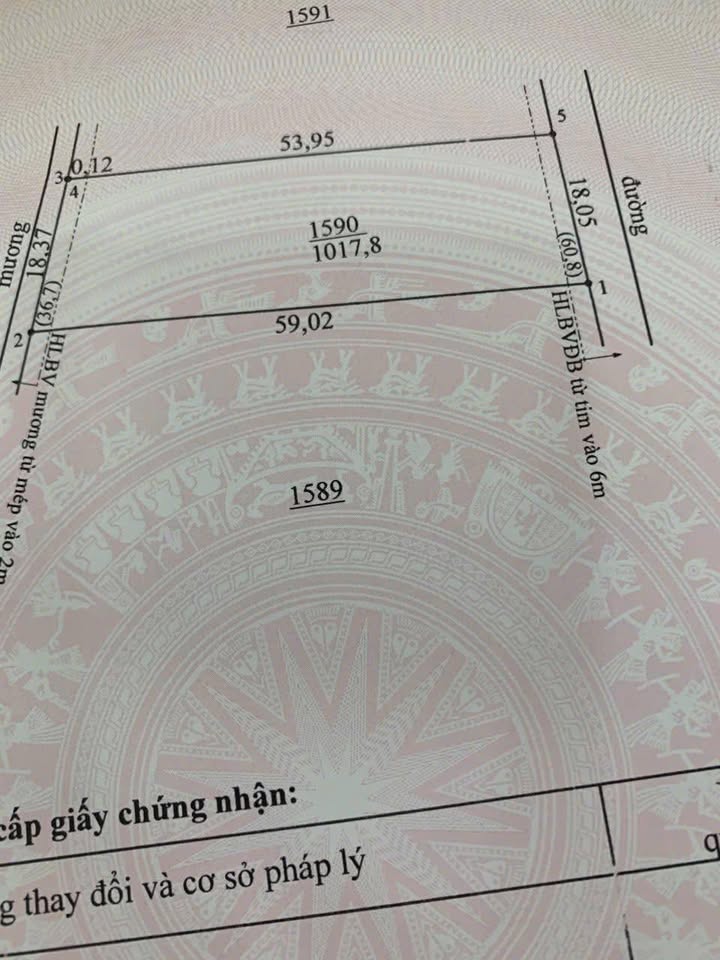 Đất nền 1000m² Quốc lộ 14, Đồng Xoài - Sổ hồng sẵn, giá tốt bất ngờ!