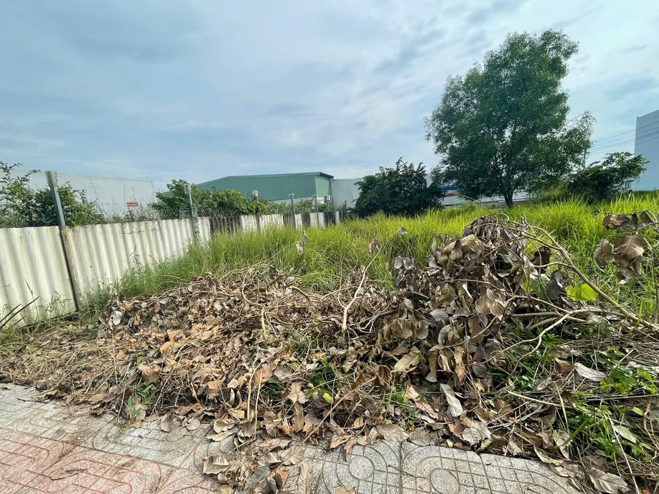 Đất nền 93m² khu dân cư Long Cang, Cần Đước chỉ 1.5 tỷ - Cơ hội đầu tư tuyệt vời!