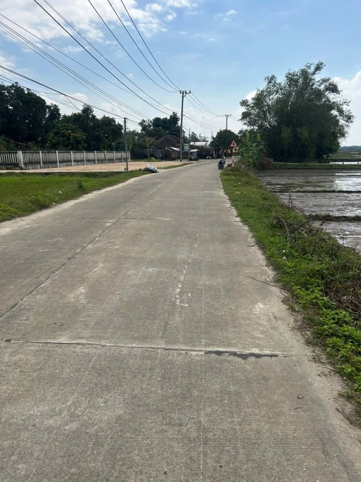 Đất vườn 250m² mặt tiền đường Đông Trường Giang - Đầu tư sinh lời, chỉ 290 triệu!