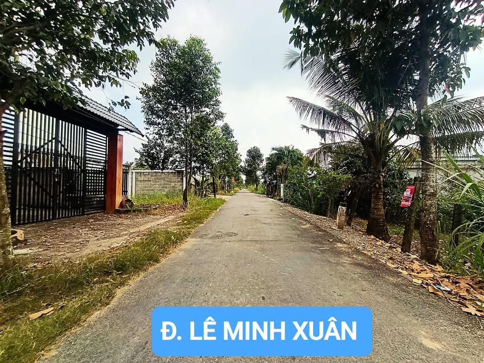 Đất thổ cư 2 mặt tiền Lê Minh Xuân 156m² giá 1.2 tỷ - Sổ hồng riêng, thương lượng ngay!
