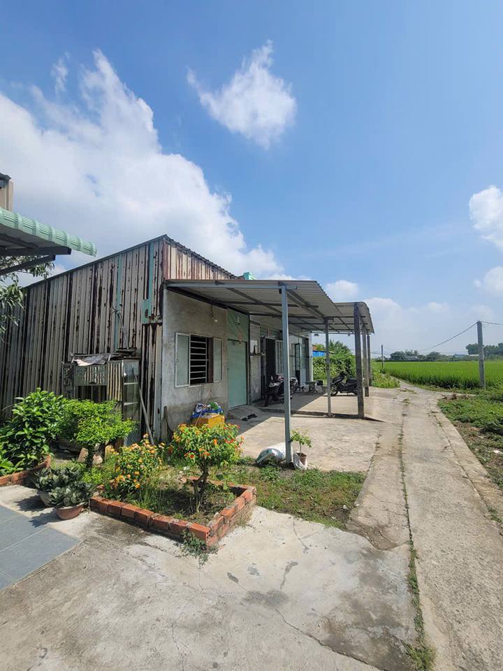 Nhà cấp 4 Thị trấn Cần Giuộc 100m² giá 350 triệu - Chính chủ bán gấp!