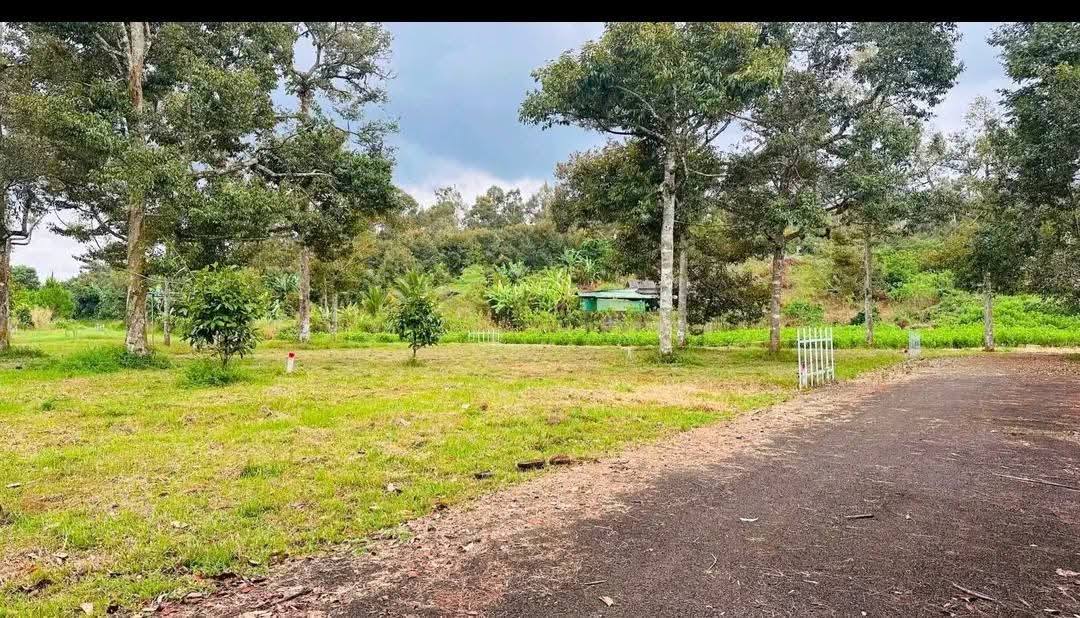 Đất thổ cư 1900m² tại Bảo Lộc - Gần trung tâm, giá chỉ 1.65 tỷ!