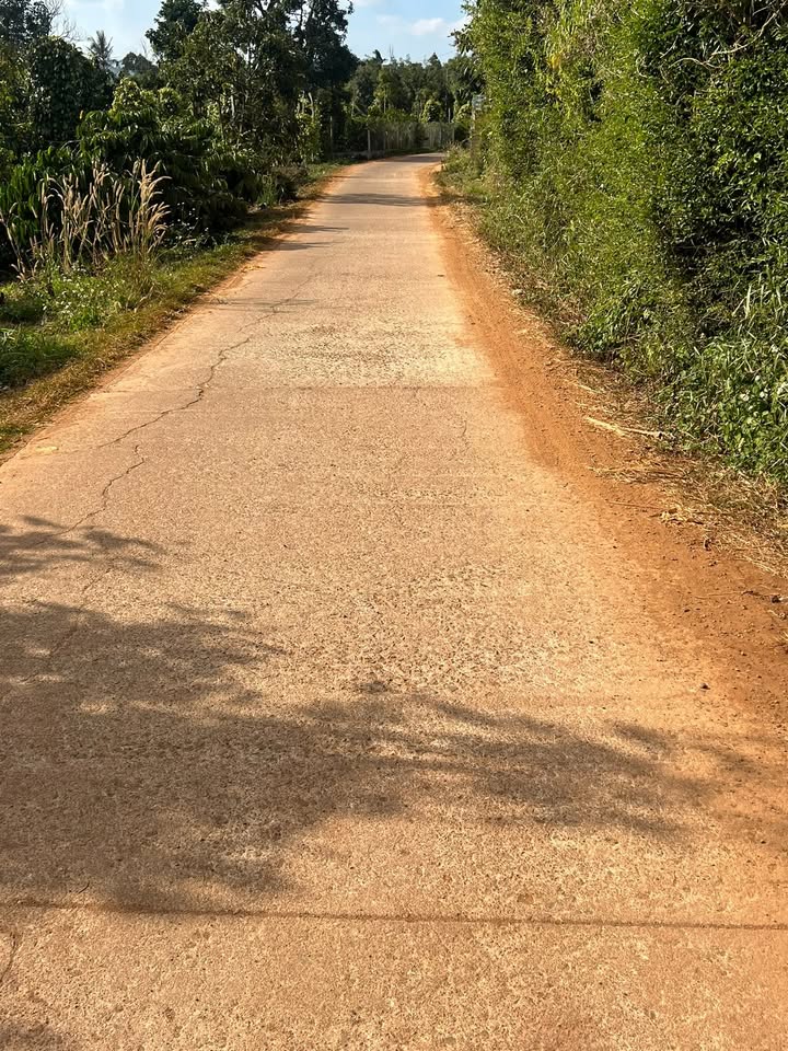 Đất thổ cư 3300m² tại Đức Mạnh, Đắk Mil - Cơ hội đầu tư tuyệt vời!