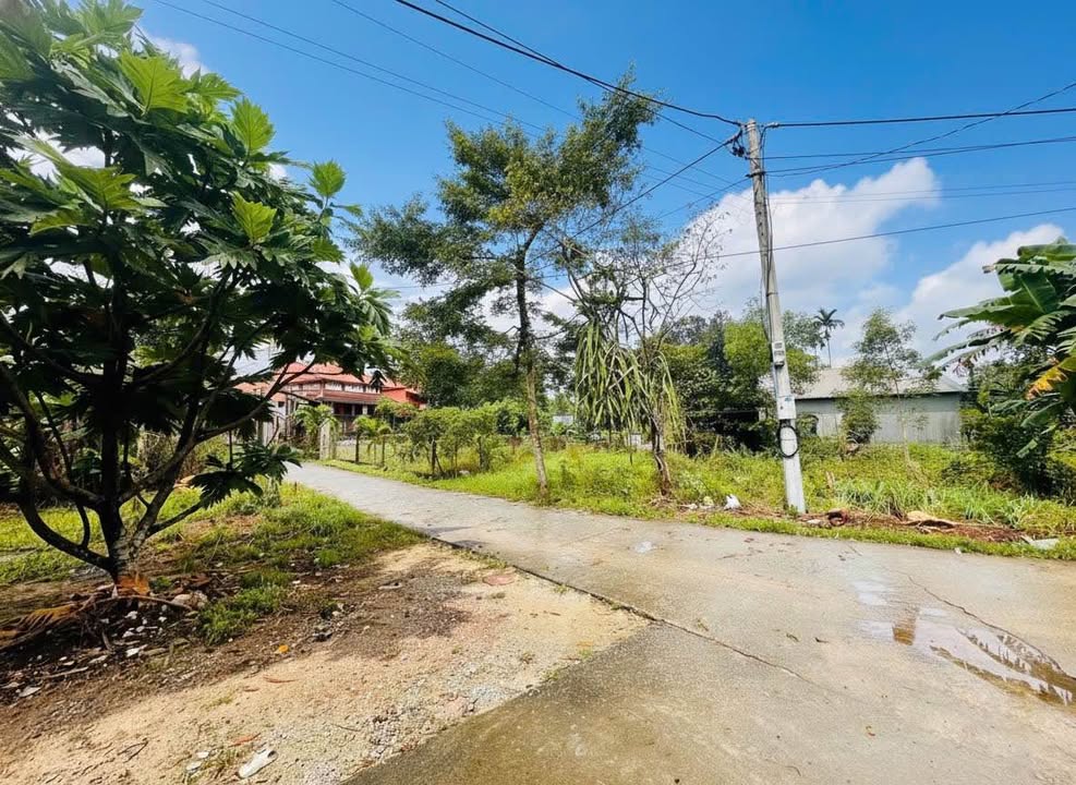 Đất nền Kiệt Thiên Thai An Cựu 200m² giá 1,5 tỷ - Vị trí đẹp, ô tô vào tận nơi!