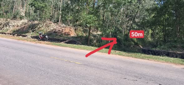 Đất nền Bình Thạnh, Tuy Phong 549m² giá 100 triệu - Cách biển chỉ 700m!