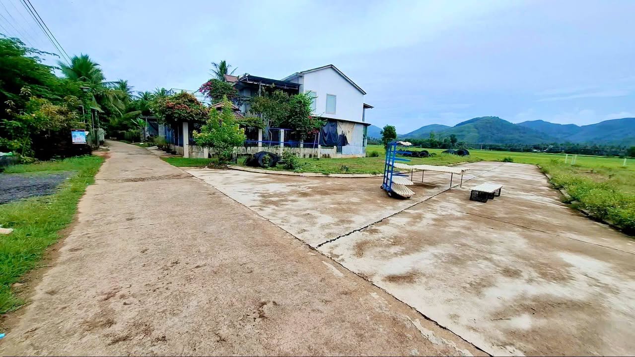 Đất thổ cư 141m² tại Bồng Sơn, Hoài Nhơn - Giá chỉ 500 triệu!