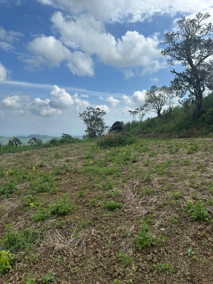 Đất nền An Thọ, Tuy An, Phú Yên 2142m² giá 500 triệu - View biển tuyệt đẹp!