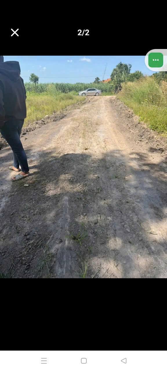 Đất nền Tân Phong, Tân Biên 176,2m² giá chỉ 95 triệu - Sổ hồng công chứng ngay!