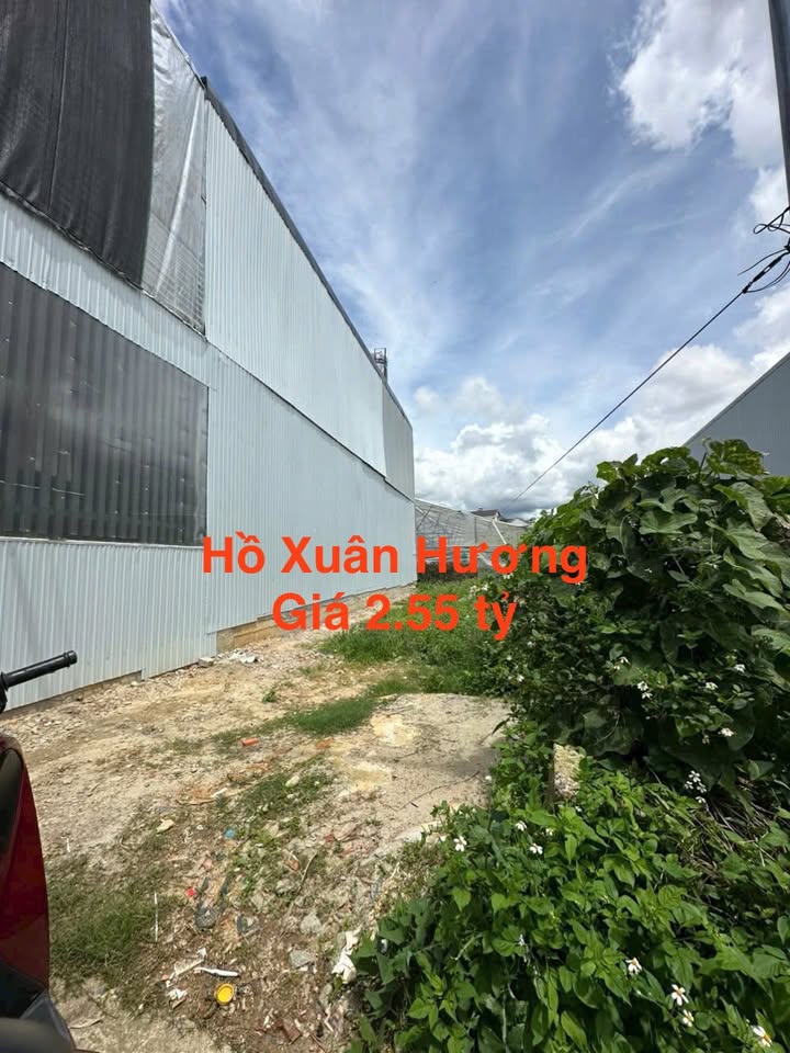 Đất xây dựng đường Hồ Xuân Hương, Đà Lạt 74m² giá 2.55 tỷ - Cơ hội đầu tư hấp dẫn!