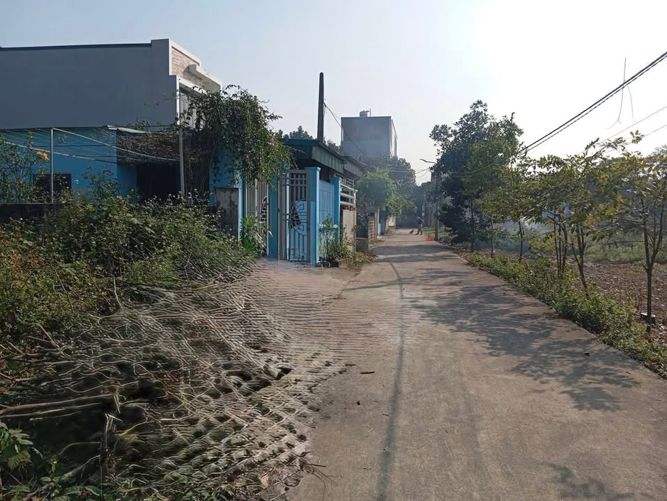 Đất nền Thôn Tân Hạ, Tam Điệp 325,5m² giá chỉ từ 2 tỷ - Đầu tư sinh lời cao!